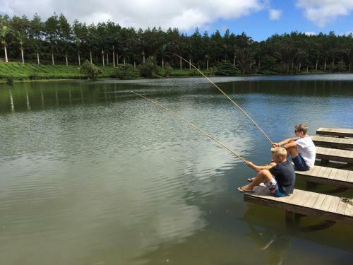 Bubble Lodge Bois Ch�ri Plantation