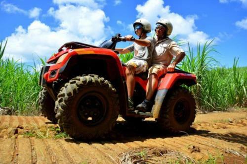 Bubble Lodge Bois Ch�ri Plantation