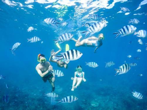 Madiana Catamaran Cruises