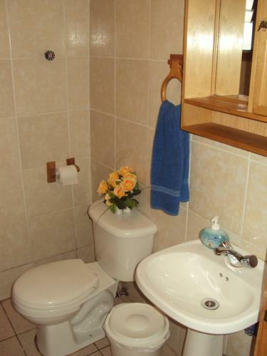 Hosteria Rayen