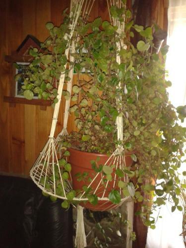 Hosteria Rayen
