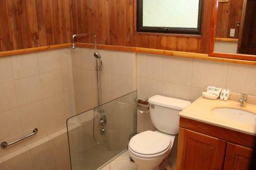 Hotel Y Termas Huife