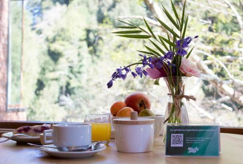Hotel Y Termas Huife