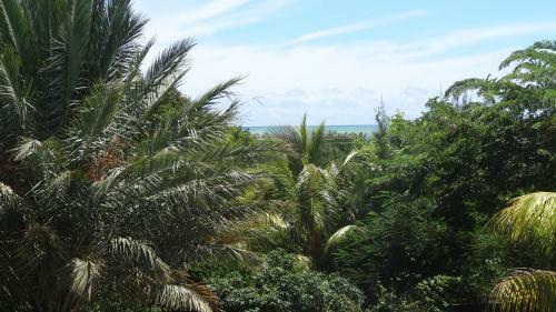 Bed And Breakfast Maison Papaye