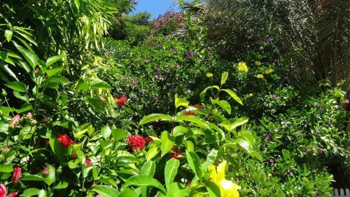 Bed And Breakfast Maison Papaye