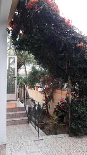 Flo Villa