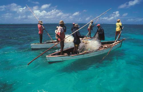 Cocotiers Hotel - Rodrigues
