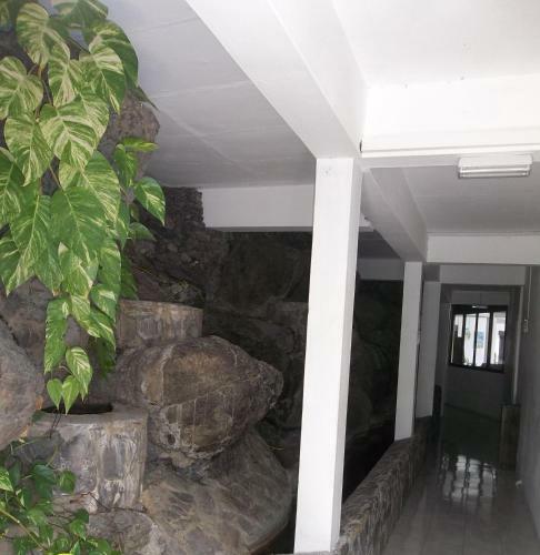 Hostal Lerecif Guest House