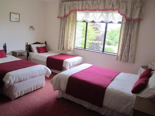 Bed & Breakfast Whitestream House