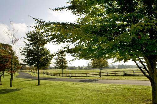 Moyvalley Hotel & Golf Resort