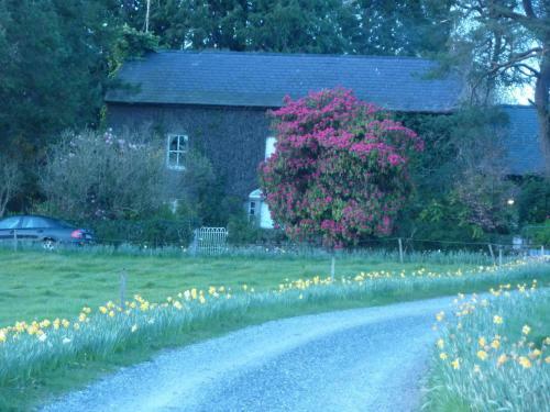 Bed & Breakfast Cullintra House