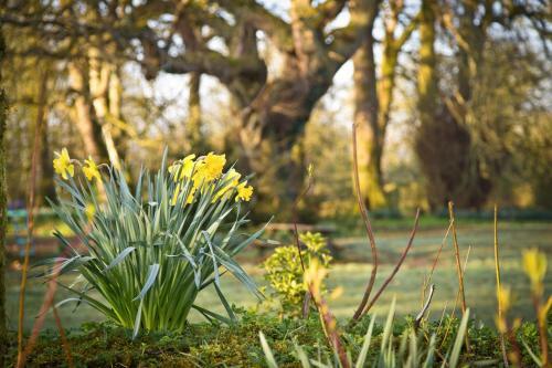 Agroturismo Roundwood House