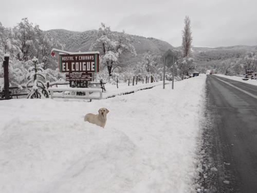 Hostal Y Caba�as "el Coig�e"