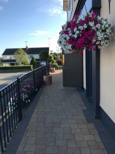 Bed & Breakfast The Brandywell