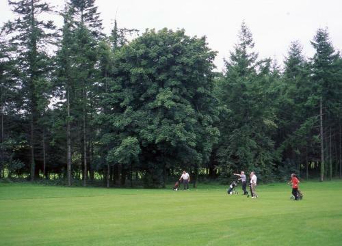 Dundrum House Hotel Holiday Homes