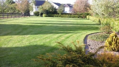 Hostal Connollys Guesthouse