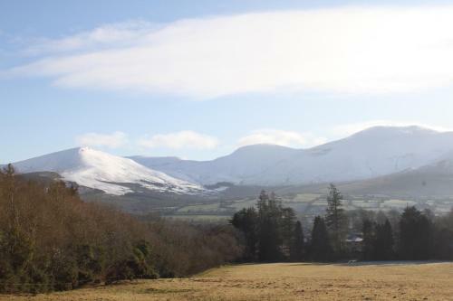 Ballinacourty House B&B