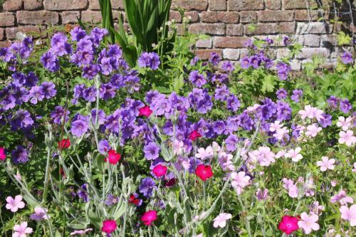 Ballinacourty House B&B