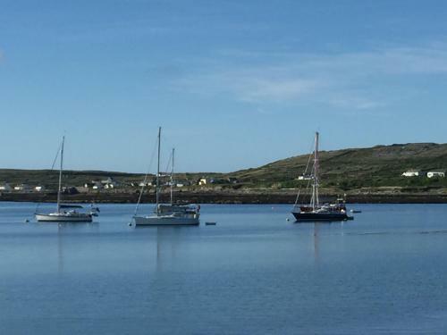 Hostal Tigh Fitz Bed & Breakfast