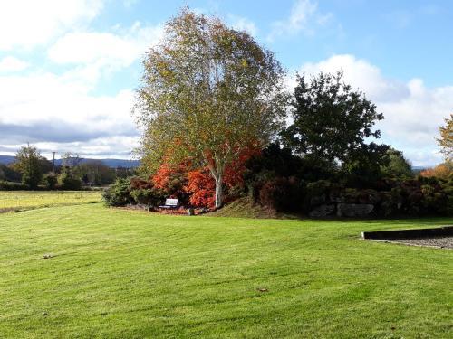 Grove Wellness Centre B&B
