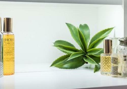 Large Boutique Style Apartment - Upper House
