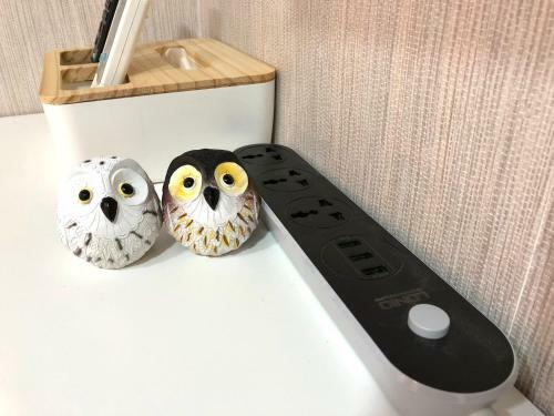 Owl Hostel