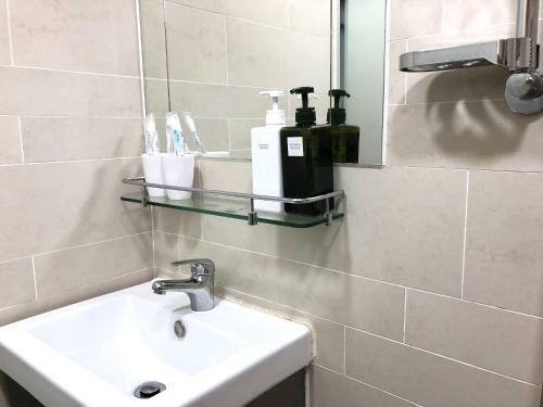 Owl Hostel