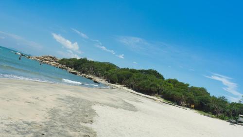 The Cove Hostel - Tong Fuk Dolphin