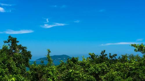 The Cove Hostel - Tong Fuk Dolphin