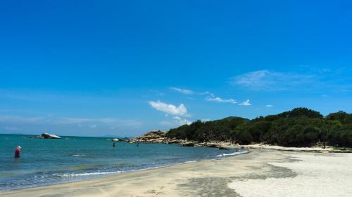 The Cove Hostel - Tong Fuk Dolphin