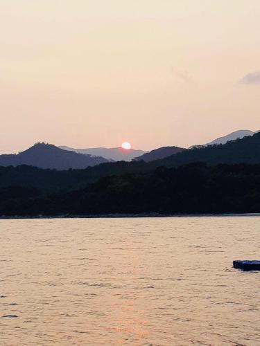 The Cove Hostel - Tong Fuk Dolphin