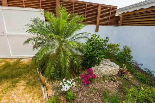 Fleurs D'�pices