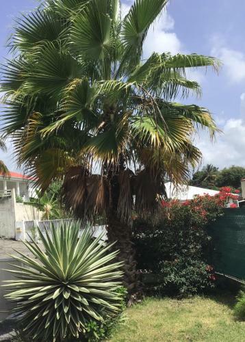 Apartamento Appartement Shenandoah
