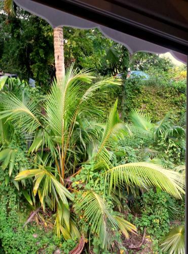 Cambourg Lodge Resort