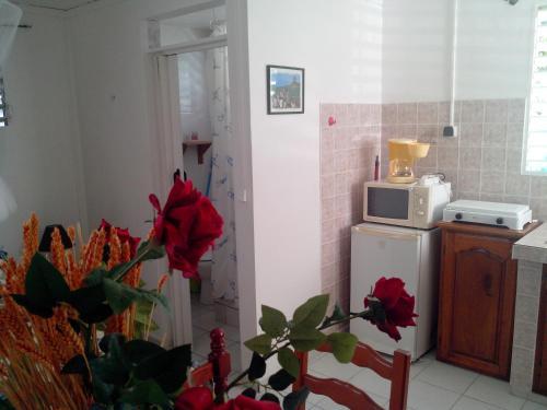 Apartamento Maison Des Alizes