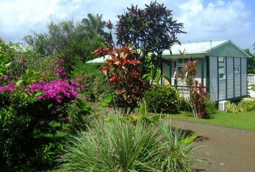 Les Fruits De Goyave