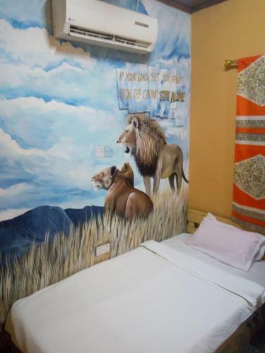 Hostal Feehi's Place Hostel