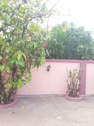 Hostal Nelis Lodge