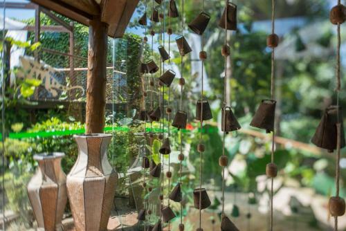 Hostal Teju-a�u Ecopousada
