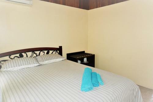 Holiday Hire Fiji