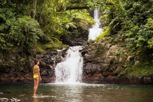 Hotel Taveuni Island Resort & Spa