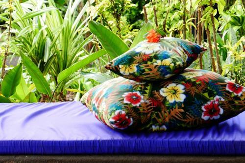 Hotel Paradise Taveuni