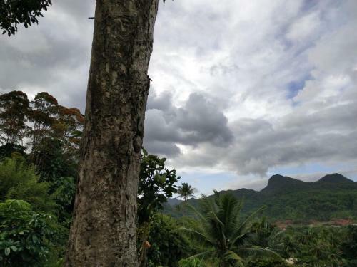 Suva Hideaway Villa
