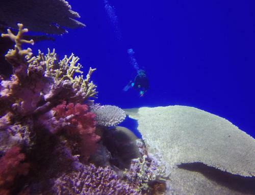 Hotel Tokoriki Island Resort - Adults Only