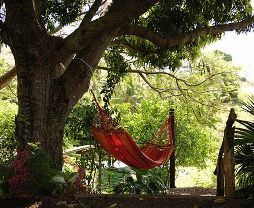 Hotel Palmlea Farms Lodge & Bures - Villas