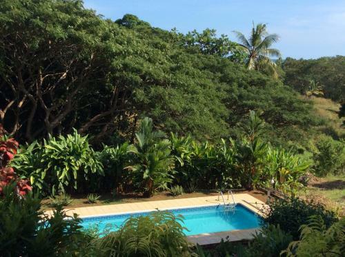 Hotel Palmlea Farms Lodge & Bures - Villas