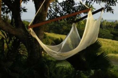Hotel Palmlea Farms Lodge & Bures - Villas