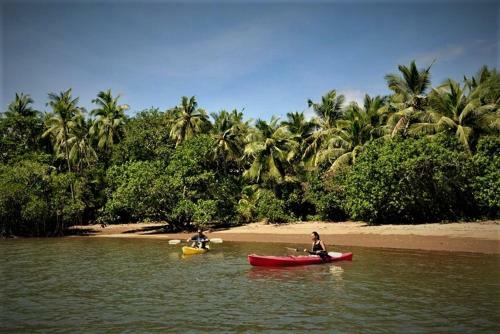 Hotel Palmlea Farms Lodge & Bures - Villas