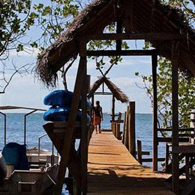 Hotel Palmlea Farms Lodge & Bures - Villas