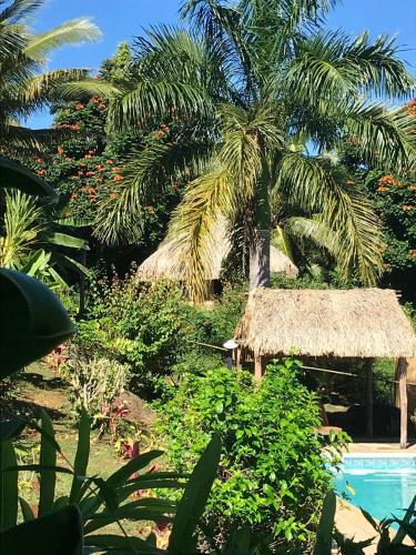 Hotel Palmlea Farms Lodge & Bures - Villas